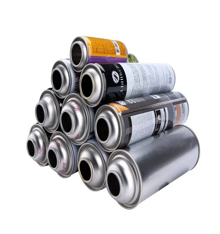 Empty Aerosol Spray Paint Can