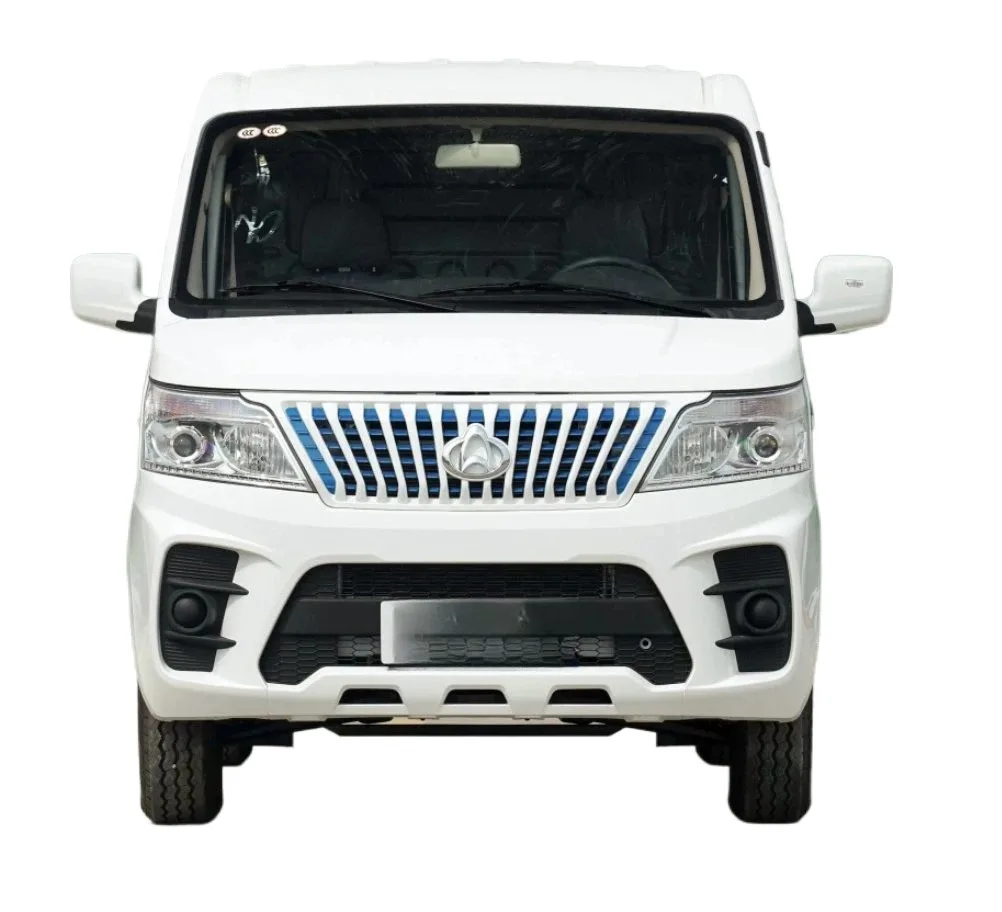 Changan Ruixing Em 60 300 км электромобиль минивэн 2-местный мини-фургон для бизнеса