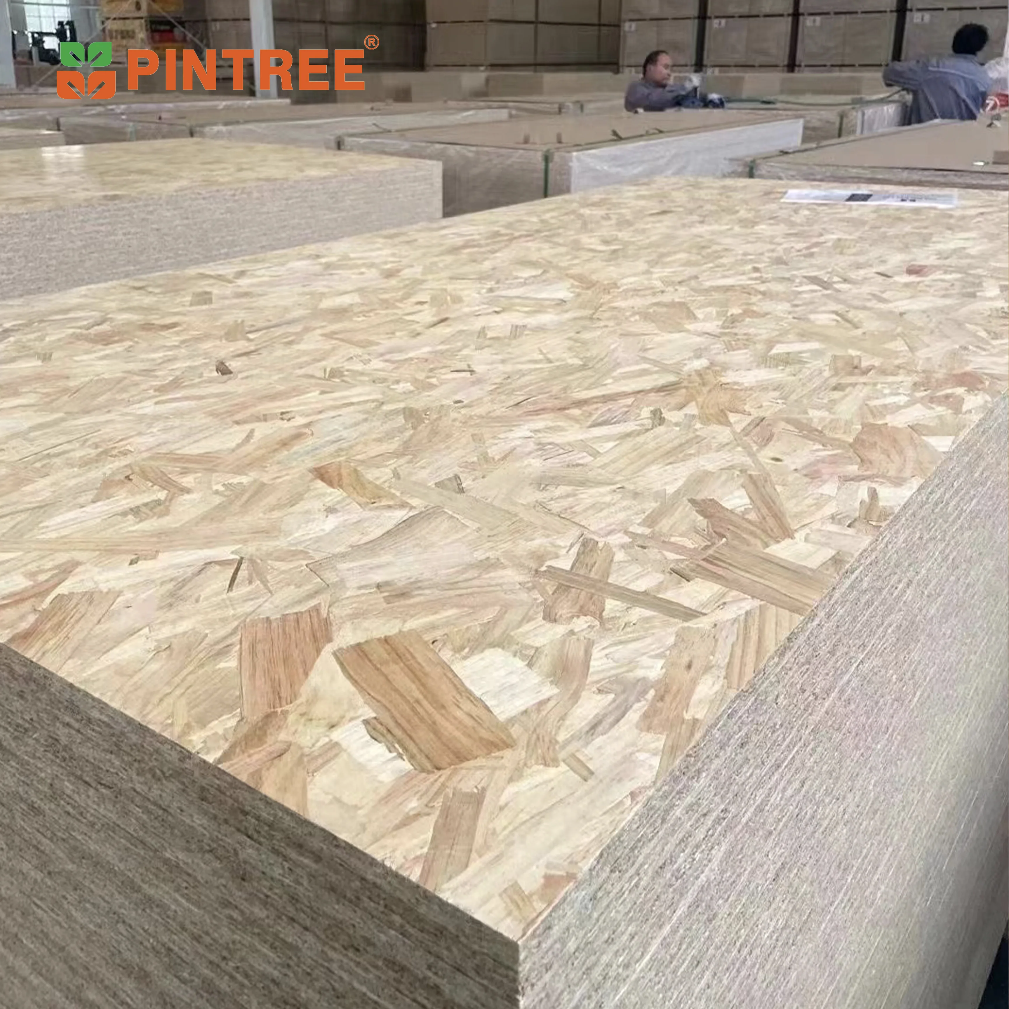 commercial Birch Pine construction osb 18m glue MDI for office with cheap price