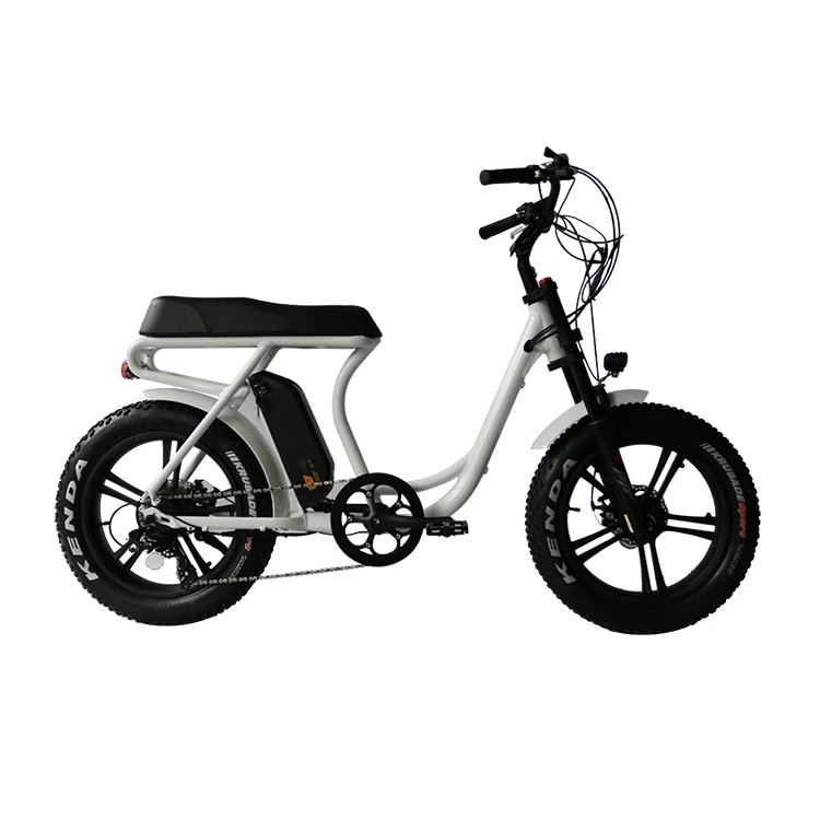 Long Seat 48V 13Ah eBike 2 seat electric bike 750W Brushless Motor Electric Bicycle With 7 speed gears and Disc Brake