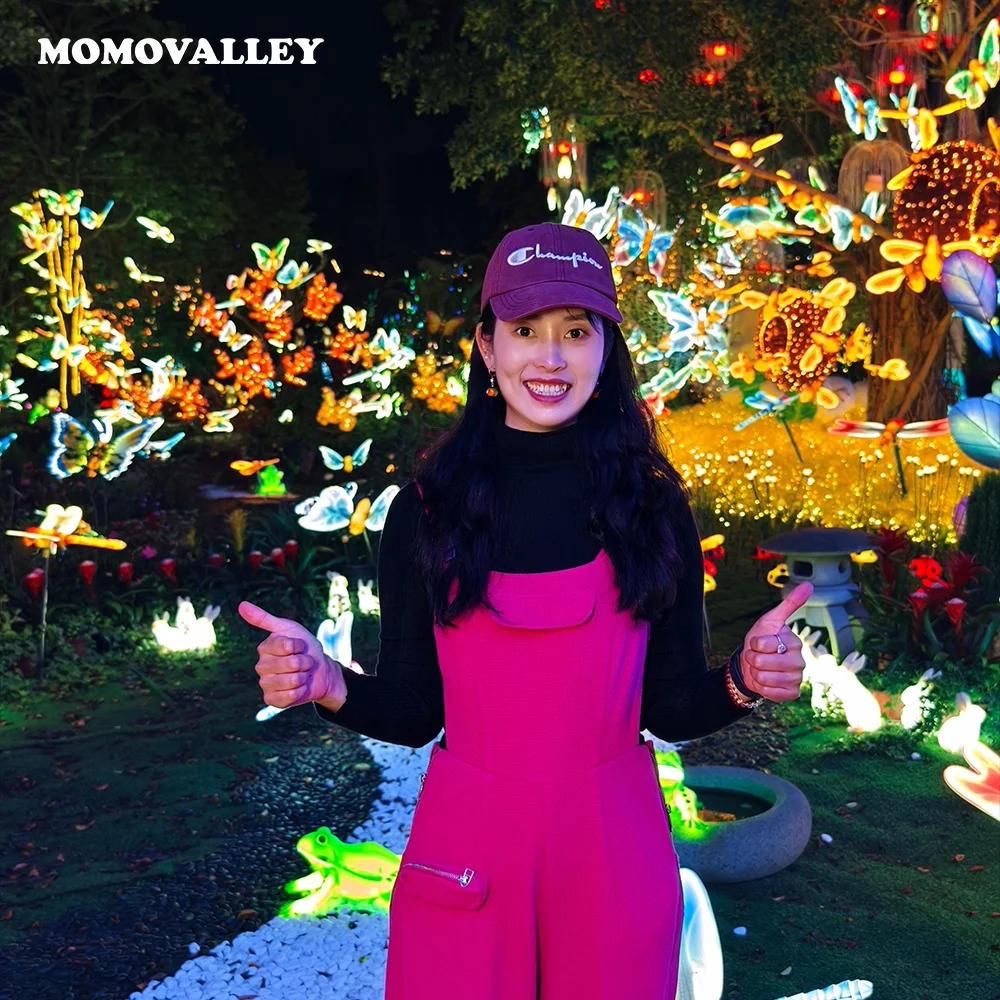 Momovalley luminous flutter solar Dragonfly wind spinner colorful led light up garden art dynamic spin weatherproof design