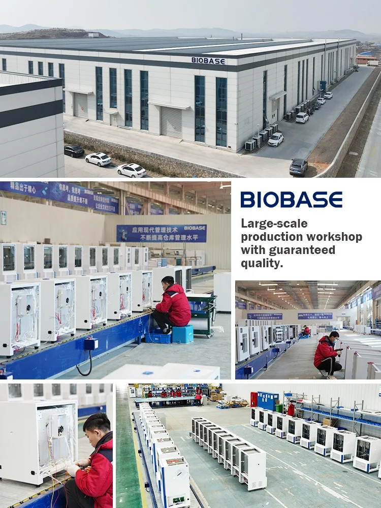 BIOBASE China Laboratory Freeze Dryer Machine Freeze Drying Lyophilizer Equipment  for labs