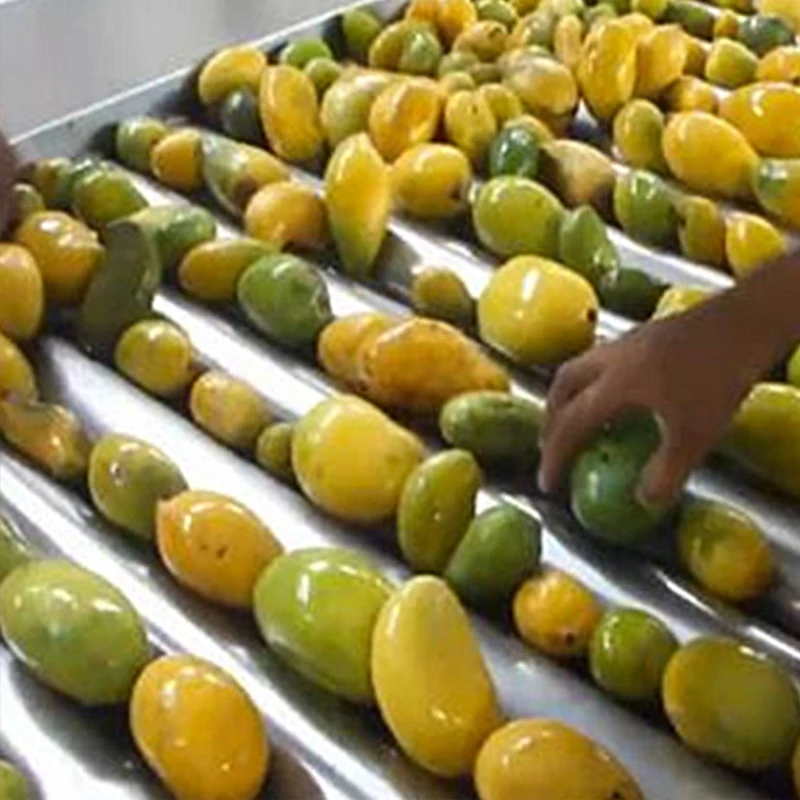 fruit processing machine mango juice processing machine juice production line