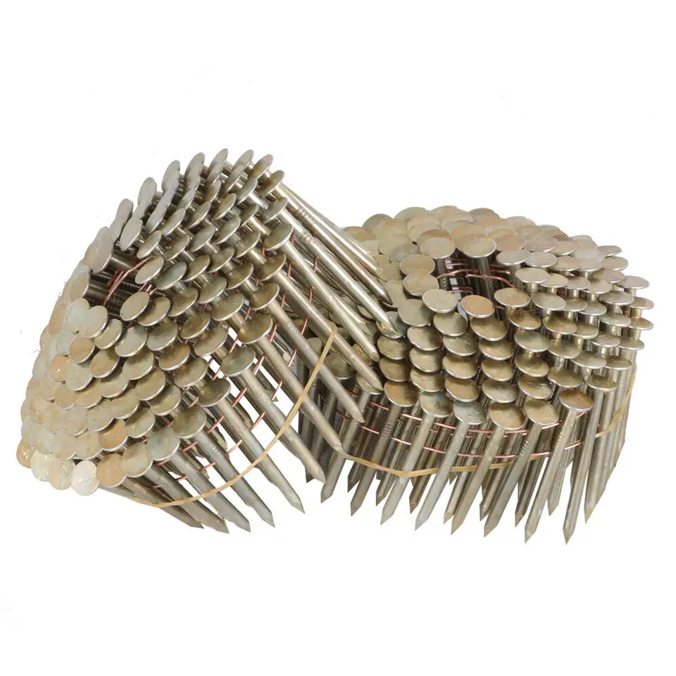 Electron Galvanized Collated Coil Roofing Nails for Working
