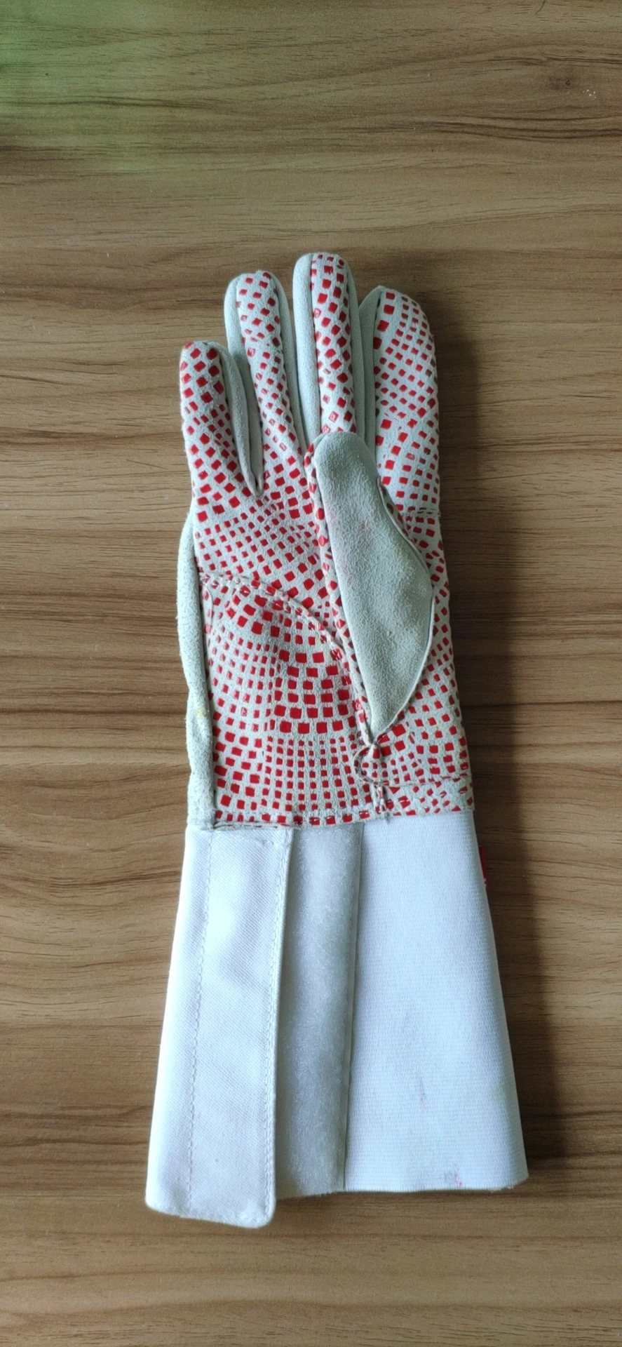 Anti-Slip Fencing Glove.jpg