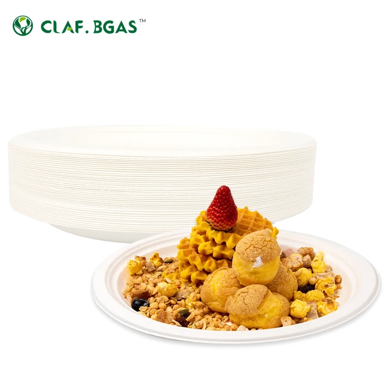 Degradable Customized Disposable Sugarcane Bagasse Biodegradable Rectangle Sugarcane Pulp Meet Plate Tray for Restaurant