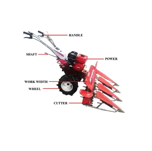 Sorghum Alfalfa Small Cutting  Machine Mini Reaper  Diesel Tractor Mounted Harvester