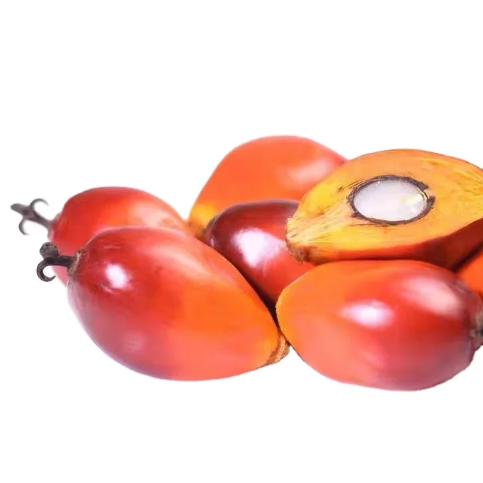 hot sale factory price crude organic palm kernel oil