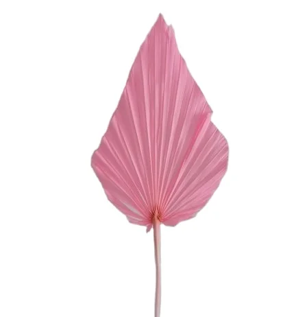 
Hot Selling Large Handmade Heart-shaped Fan Palm leaf Custom Plant Handmade Fan 