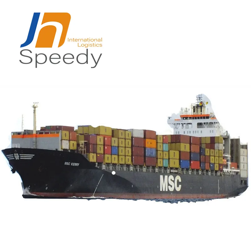 Sea Freight Forwarder Shipping Ddu Ddp Service and Reduce Shipping Costs Shipping Agent From China to Sheena