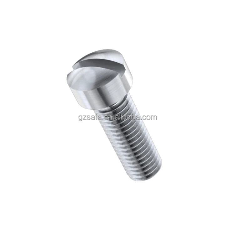 Stainless Steel Fillister Screws