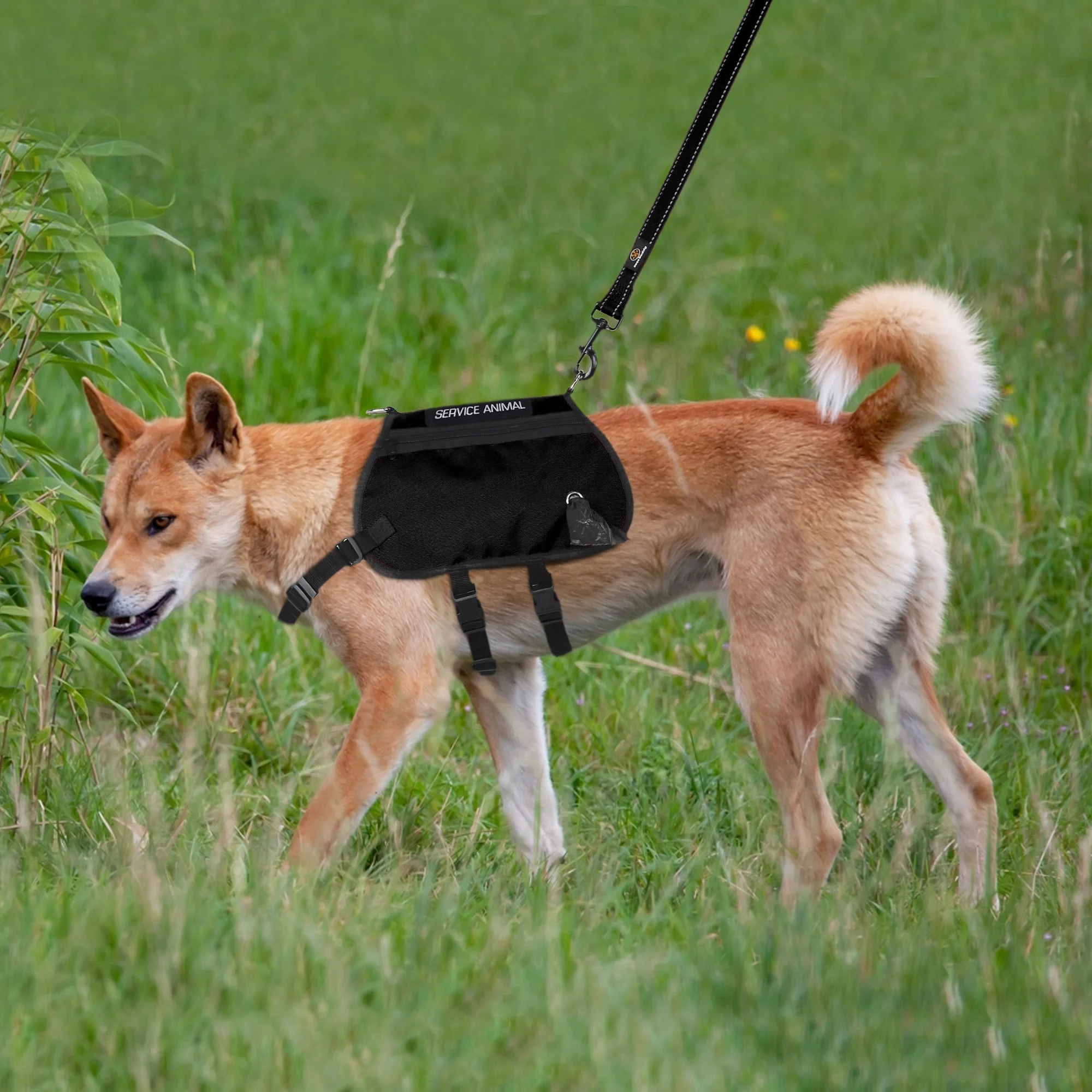 Hot Sales Adjustable Waterproof Oxford Outdoor Dog Vest With Portable Pocket Service Dog Harness