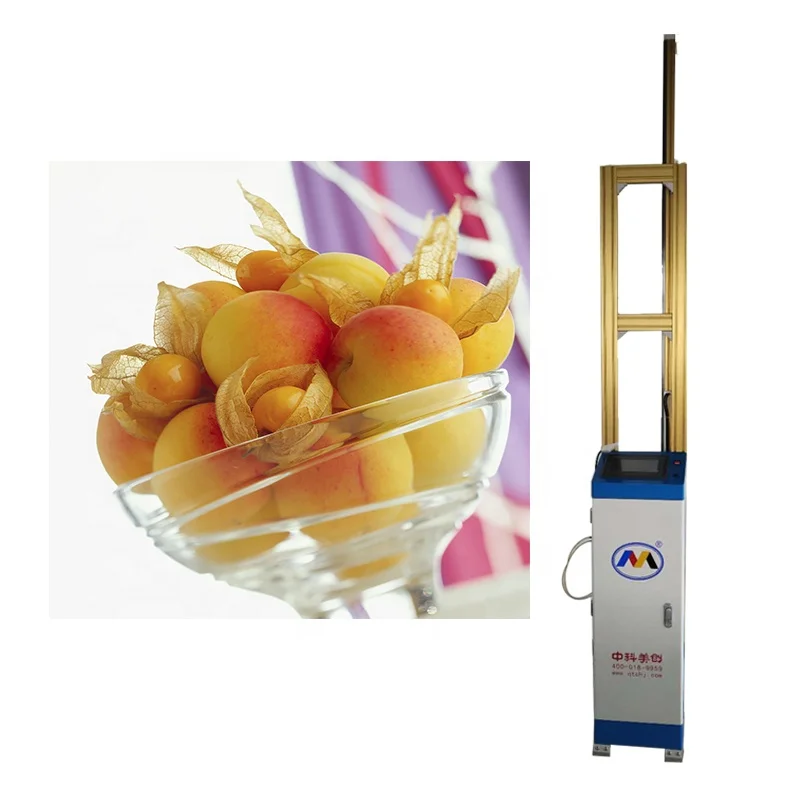 ZKMC Industrial Large Format Vertical Inkjet 3d Wall Printing Machine