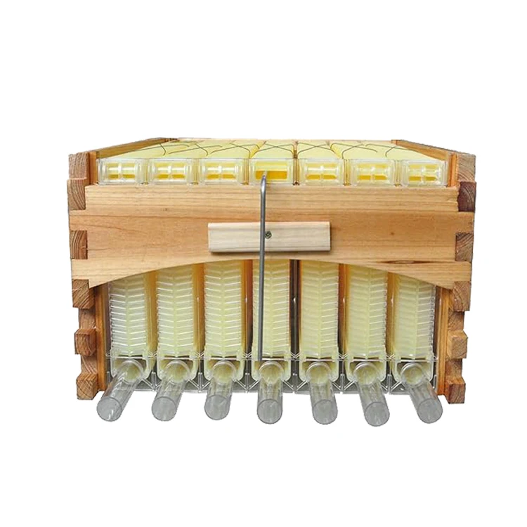 Automatic Beehive Golden Palace Flowing Super Honey Super with 7PCS Flows Frames