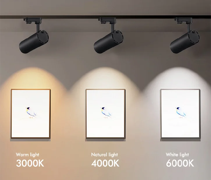 paste-pic-dp_uuid_r51cd