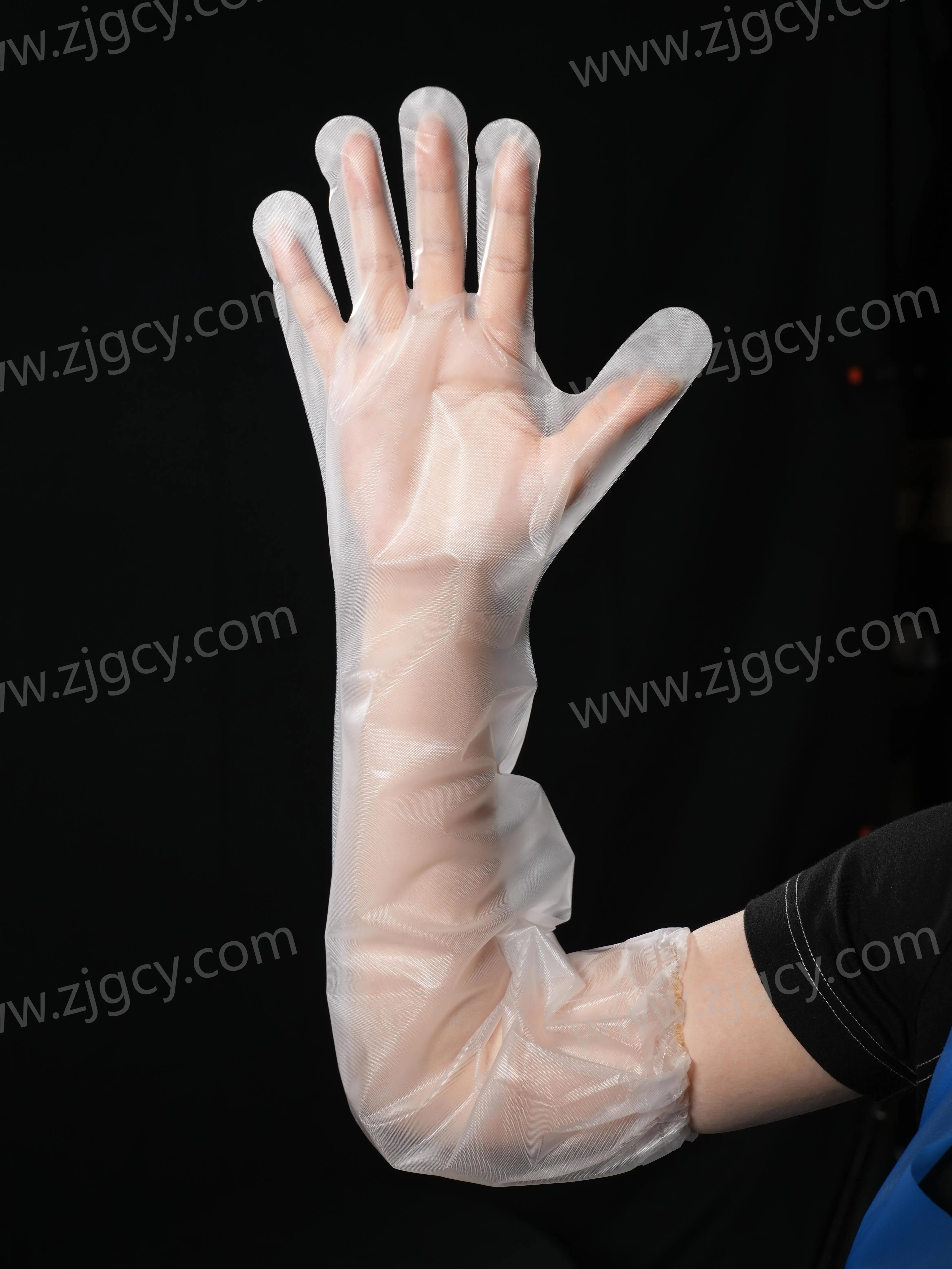 High Quality Kitchen Food Gloves Transparent Disposable Cpe Long Arm Gloves
