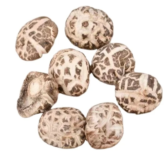 dried shitake mushroom  hot sale  material for eating GAP base long shelf life