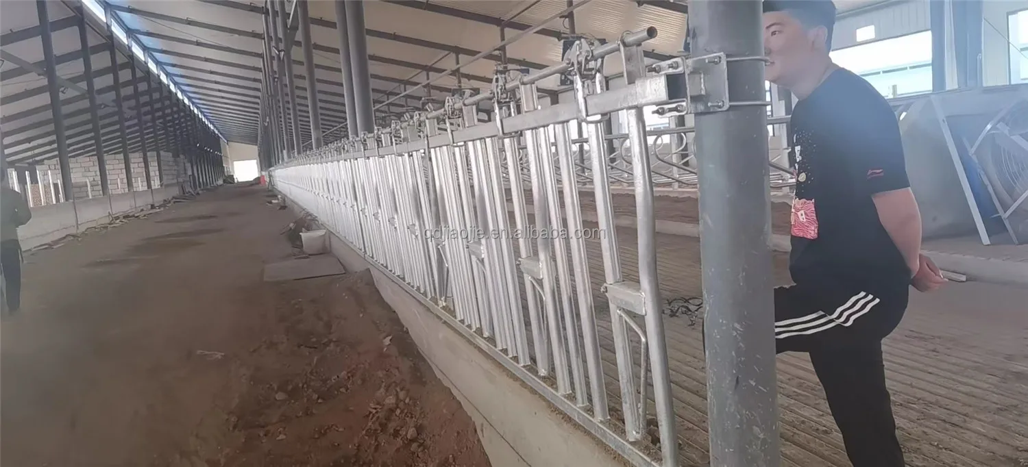 Cattle Headlock Gate Heavy Duty Cow Feeding Gate Panel with Galvanized Tube