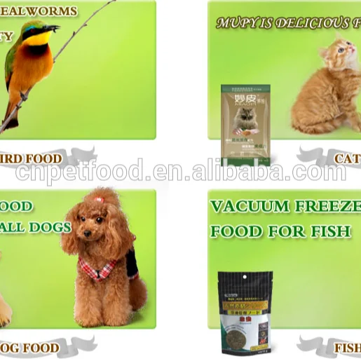  Китайская Ферма для разведения мелких червей