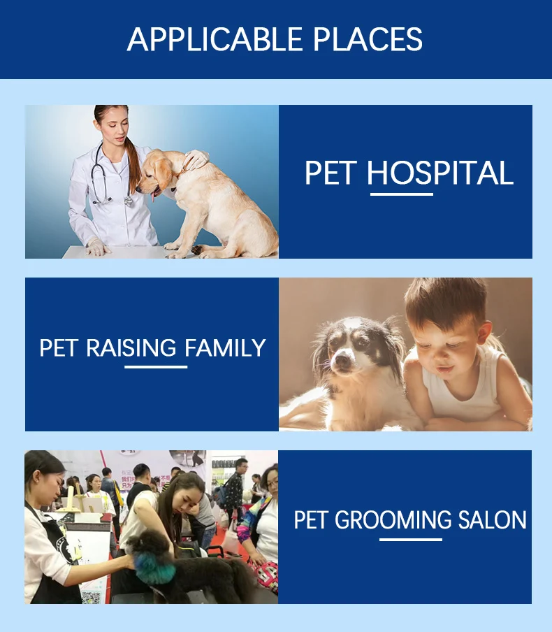 
Hot products pet grooming supplies Dog and cat odor elimination Cleaning Spray Refreshing air Inhibit bacterial growth 