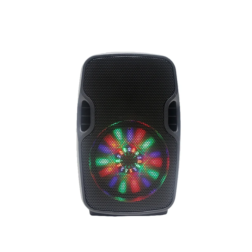 TONOCH 12 inch E series economical portable professional PA speaker