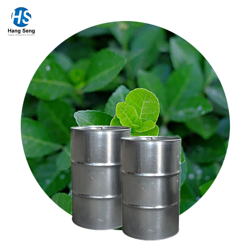 Bulk Wholesale 100% Pure Wintergreen Oil/Winter Green Oil Bulk/Pure Oil Winter Green