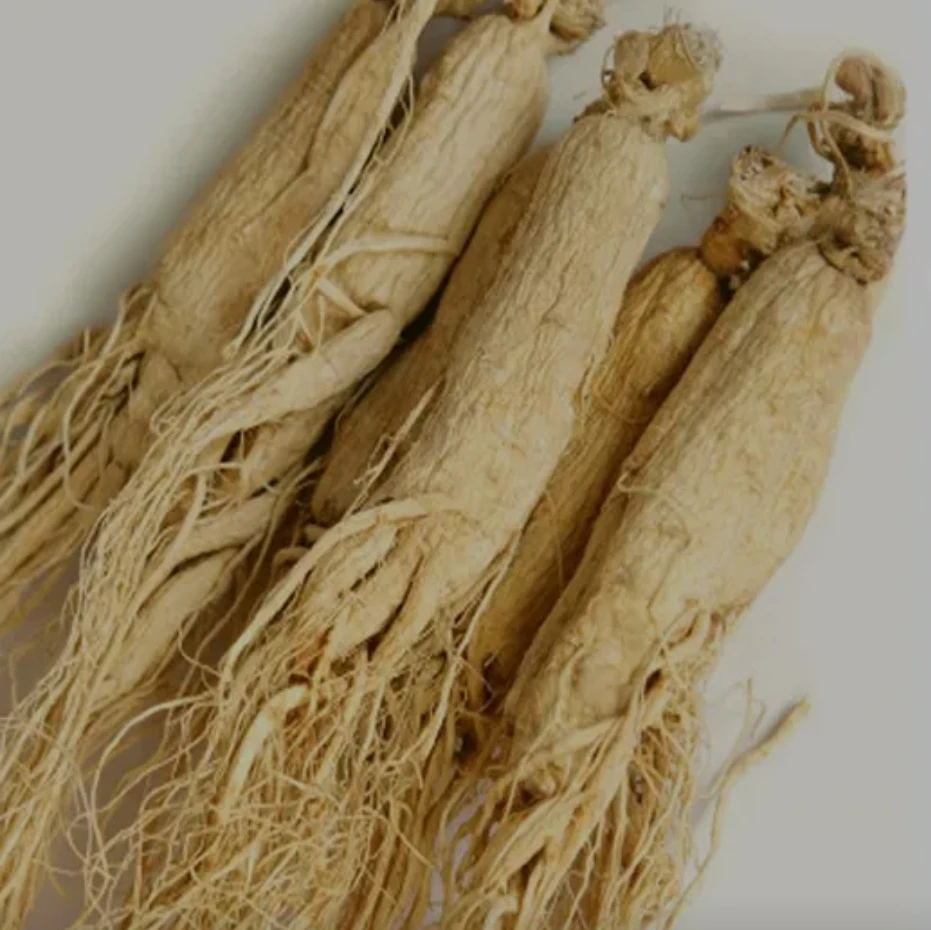 wild yellow ginseng A ginseng