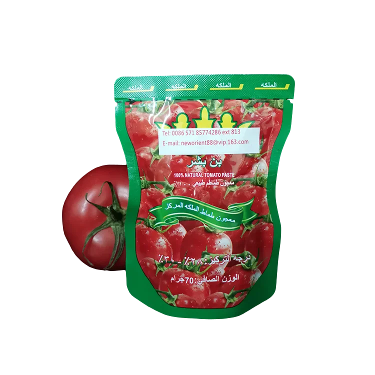 Best Quality Halal Tomato Sauce Double Concentrated 18-20% 28-30% Brix Tomato Paste In 50g 70g For Halal African Muslim Cook
