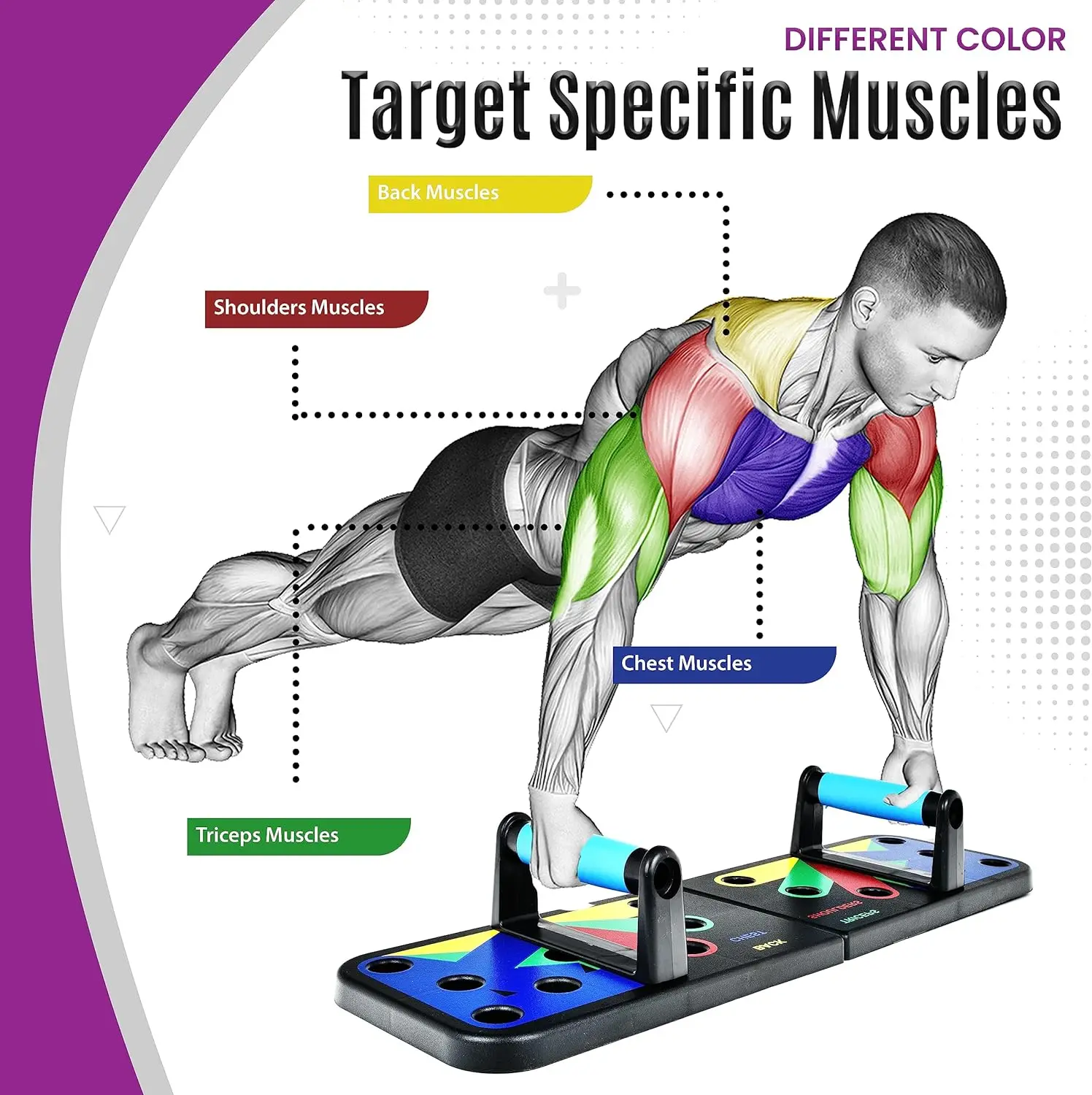 RS 12 in 1 Fitness Floor Chest Muscle Body Fitness Push up Bar Foldable Push Up Board Folding Training Board Push Up Board