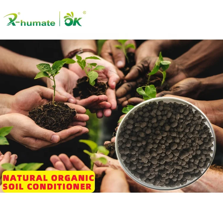 Производитель экстракта морских водорослей органическое удобрение регулятор роста растений гранулированное