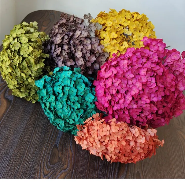 Dried Hydrangeas for home decorations for Christmas dried flowers