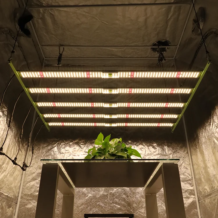 KingBrite W55 600W LED Grow Light LM301H Quantum Bar mix CREE 660NM IR LG UV Full Spectrums for Indoor plants