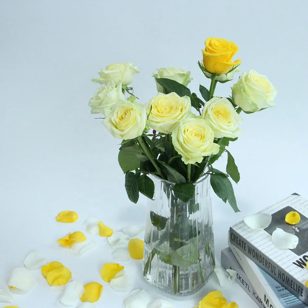 Competitive Price Home Wedding Decor Many Colors Flower Store Long Stem Natural Roses Fresh Cut Flowers