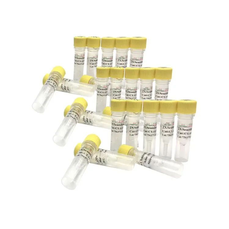 High Efficiency One Step In-Fusion SeamLess Cloning Mix