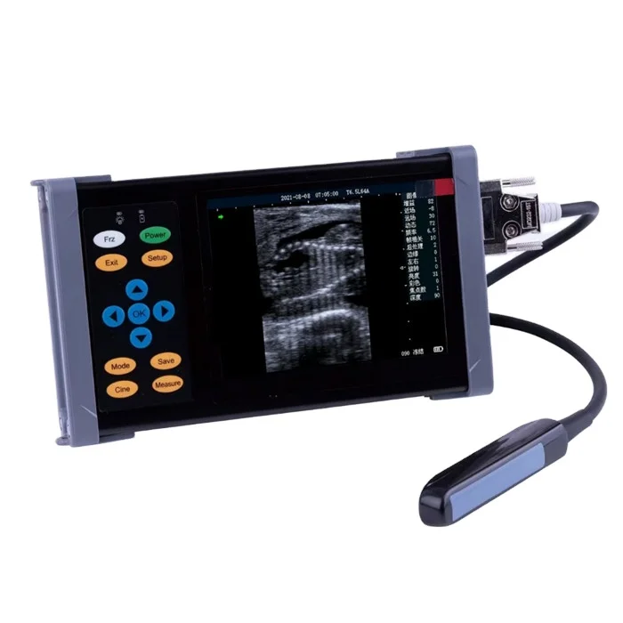 Guangzhou Cheap Portable handheld veterinary easy scan vet ultrasound machine for animal bovin equine scanner price