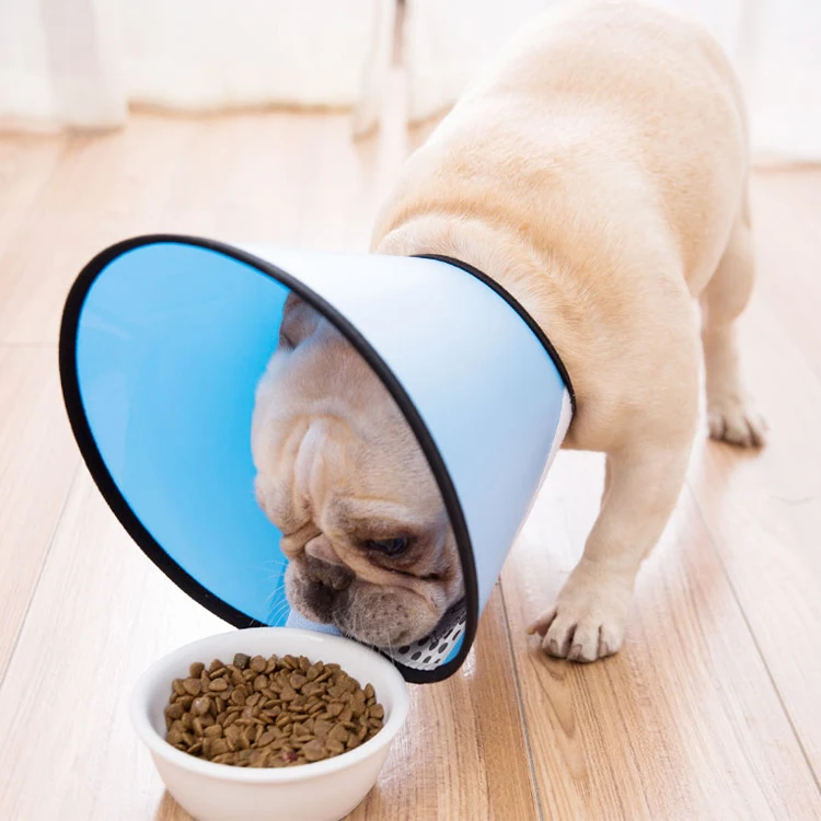 Best Selling Popular Adjustable Plastic Anti Bite Elizabeth Collar Cat Dog Collar