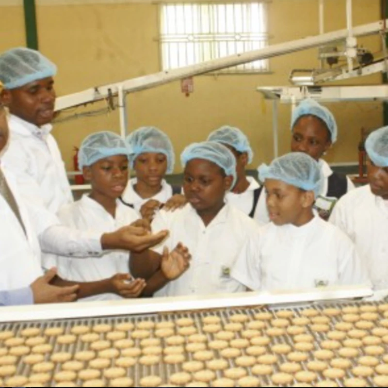 Small 480mm Chocolate bean butter biscuit cooie.electric biscuit maker machine production line biscuit line