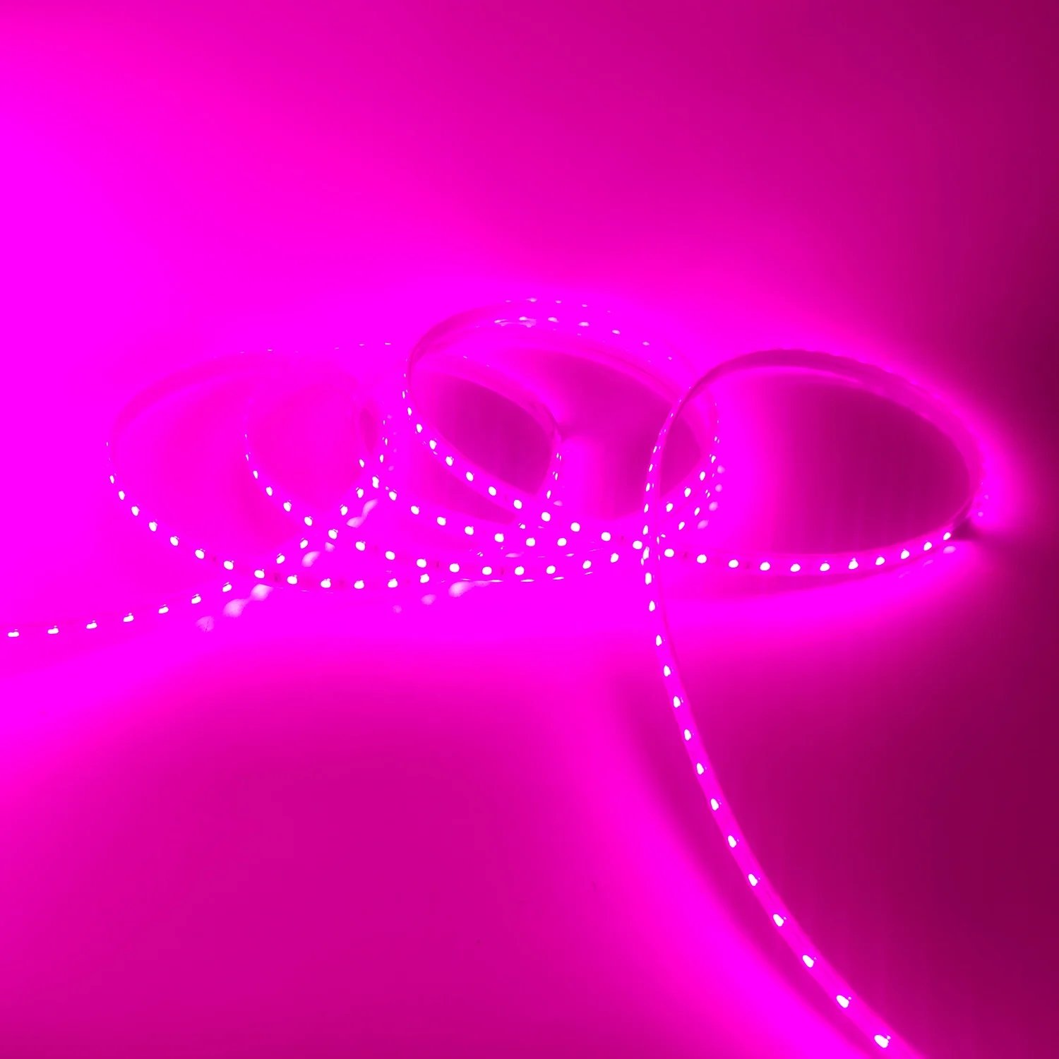 Умная Светодиодная лента 220 В 5050 RGB 60led на метр 100 м/рулон IP65 наружная водонепроницаемая светодиодная
