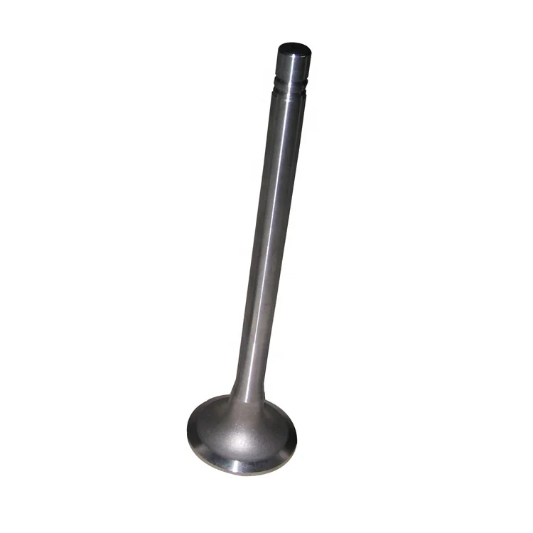 10BF11-07011 intake valve for cummins engine