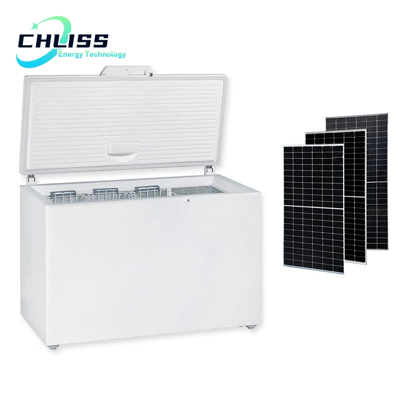 chliss Africa Top Selling 12V 24V DC Rechargeable Batteries Fridge 200L Deep Refrigerator Solar Chest Freezer
