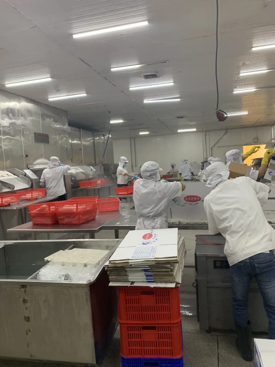 Frozen Pangasius - Hot Selling Organic Frozen Pangasius with Customized Package from Viet Nam