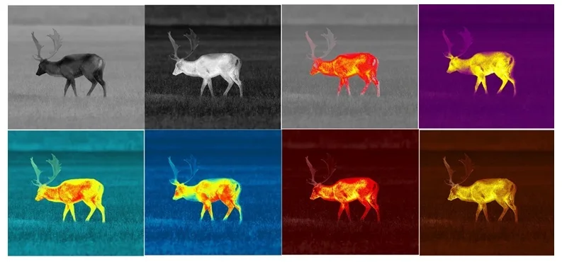 Pulsar Thermion Duo DXP50 Night Vision Scope Thermal Imaging Telescopic Camera For Hunting 640 2X - 16X 3