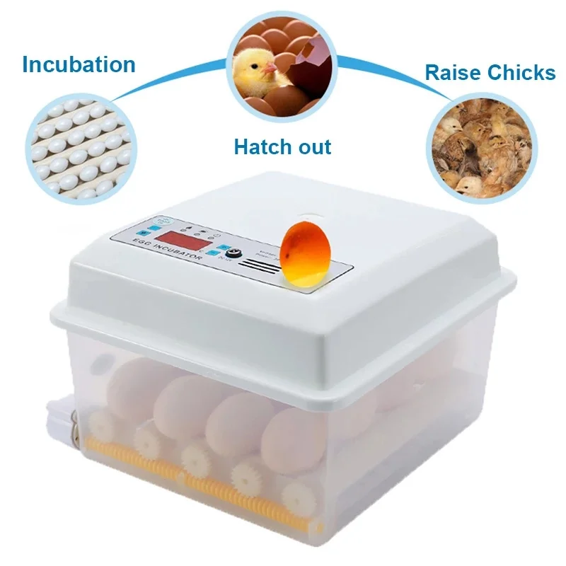 Eggs Incubator Brooder Bird Quail Chick Hatchery Incubator Poultry Hatcher Turner Automatic Farm Incubation Tools R1755