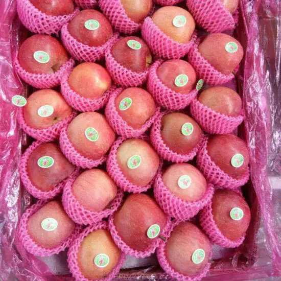 Fresh FUJI Red Apple Fruits Red  Pome Sweet Fruits Export Wholesale Best Price Organic China FUJI Apple