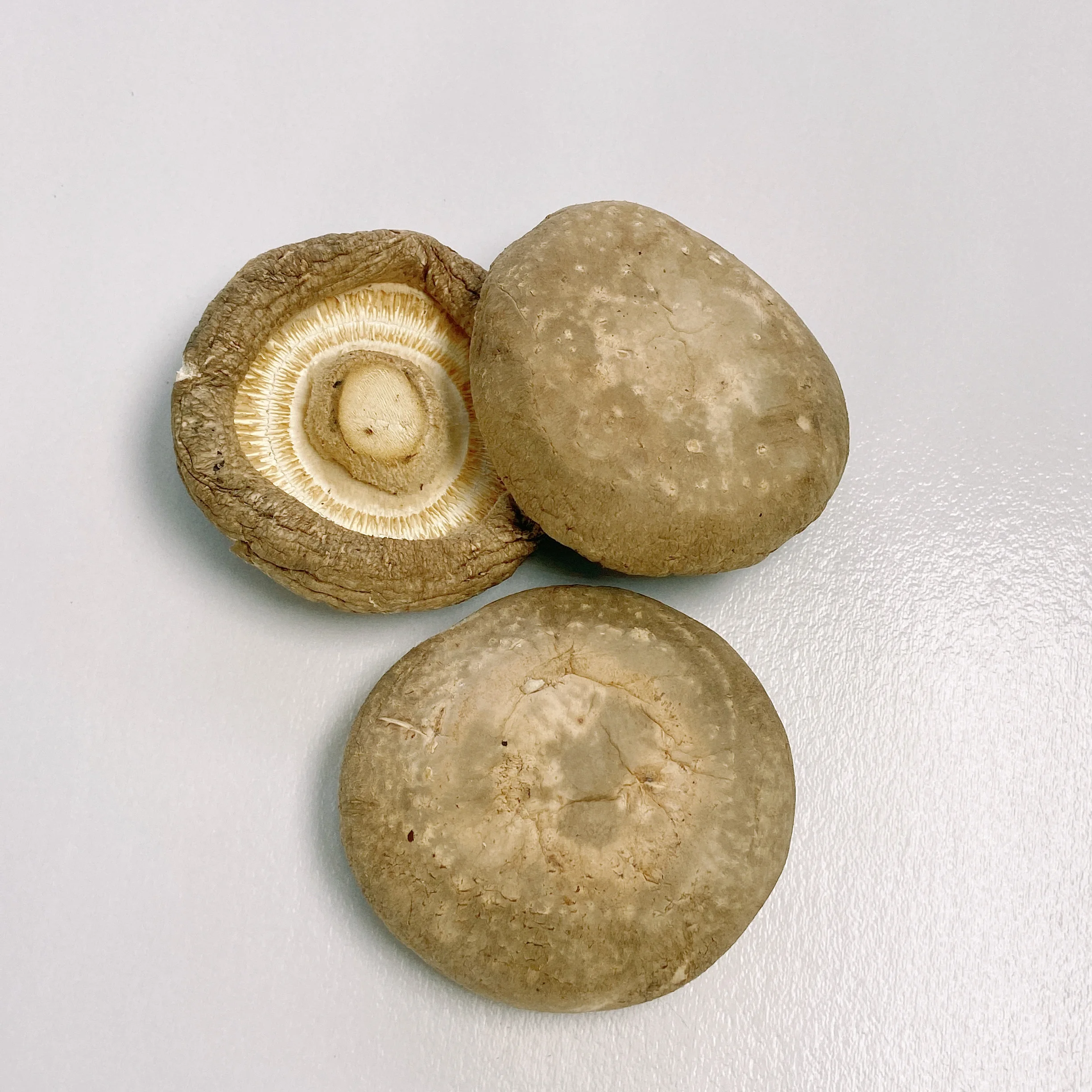 Hot Selling Good Quality Organic Dried Mushroom Price Dried For Sale