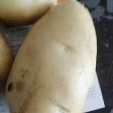 Comprehensive Nutrition french fries make machines chips potato fresh potatoes for sale