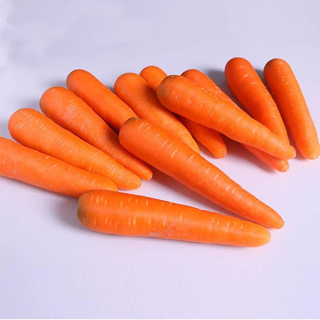 Fresh Carrot 10kg Cartons Wholesale Chinese Fresh Carrots 2021 Crop For Export Shandong Xiamen Origin