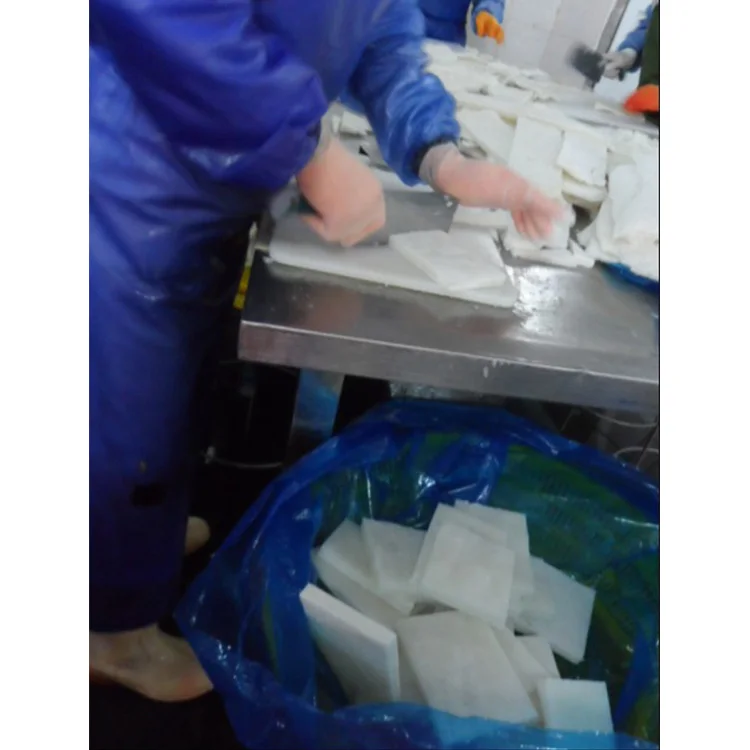Frozen Squid Fillet Giant Squid Meat Indian Ocean Squid Fillet