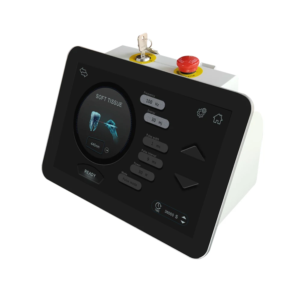 Low Level Laser Therapy Dental 650Nm 810Nm 980Nm 1064Nm Laser Dental Blanching