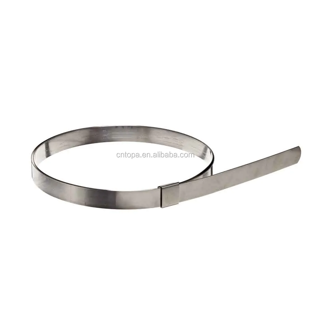 Нержавеющая сталь ухо-lokt Пряжка 316 хомут из нержавеющей стали комплект